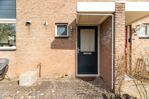 Albert Schweitzererf 6_07.jpg